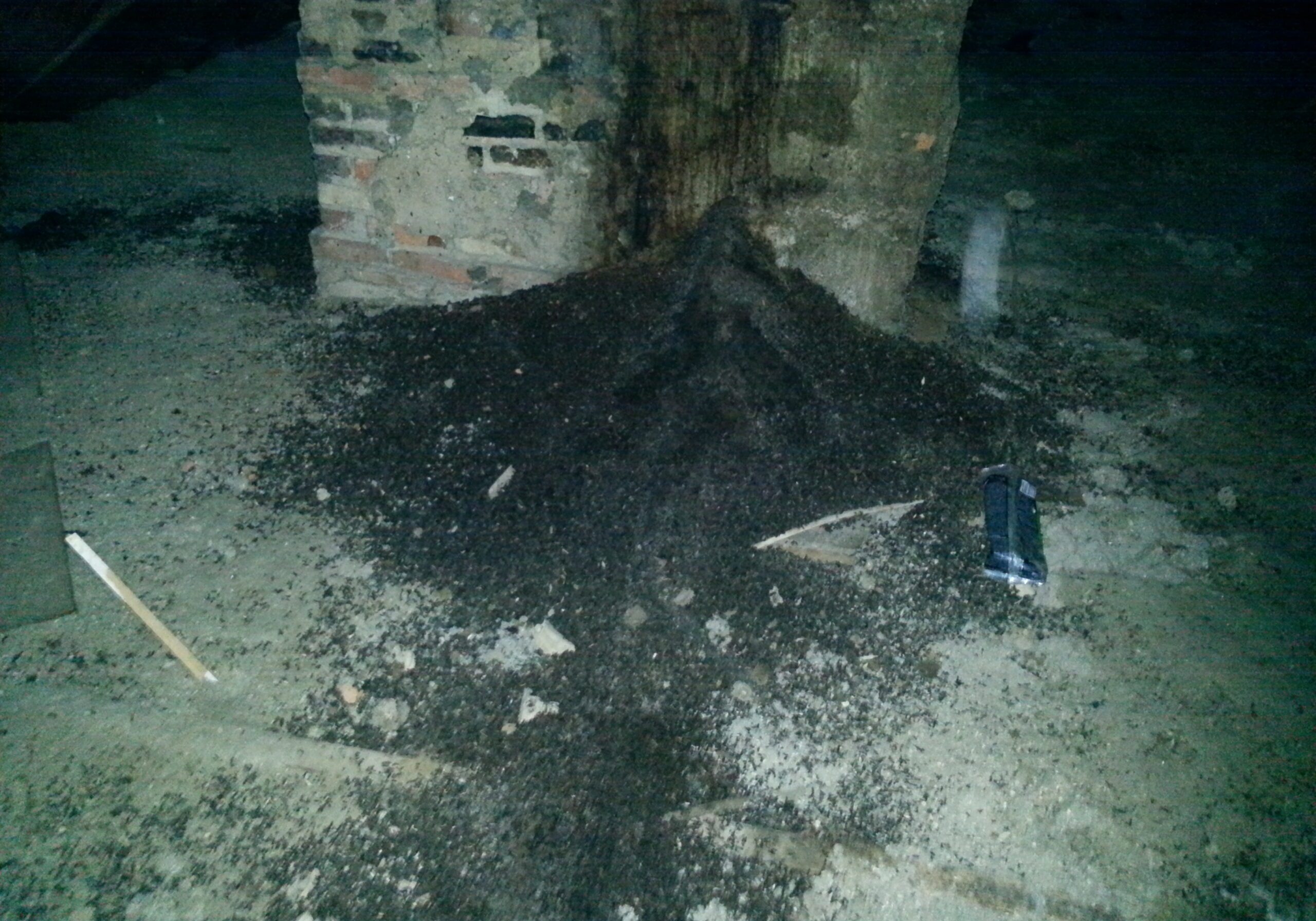 Bat Guano in the Attic